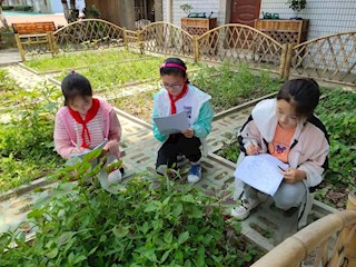 亲近自然，体验农耕，悦享农趣