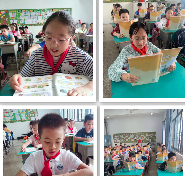 529d369fcaaf41e5bea7a708a357294c.png 529d369fcaaf41e5bea7a708a357294c.png