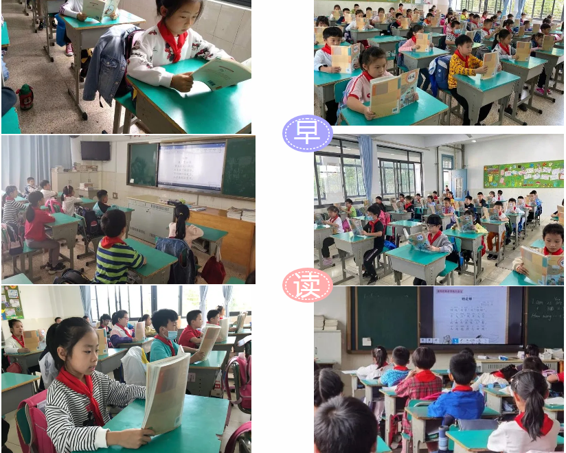 7768780aced64308ba62c5b43bbaad1a.png 7768780aced64308ba62c5b43bbaad1a.png