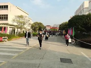 排查严格  培训有力  组织规范