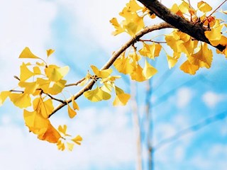 同心协力奋楫扬帆    深度融合共促发展