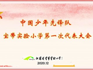 高举队旗跟党走 争做新时代好队员
