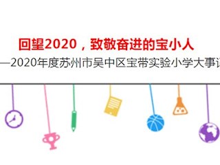 回望2020，致敬奋进的宝小人