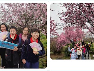 踏青赏梅君须记  正是春耕劳作时