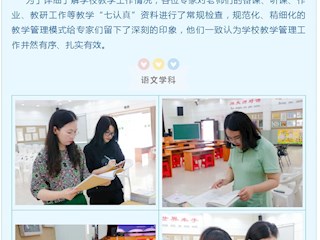 深耕细研练内功，专家引领促成长