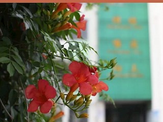 【凌霄新闻台】开学迎检新起航 从“心”出发谱新篇