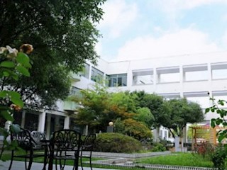 【凌霄新闻台】落实政策强担当 教育“三新”建新功