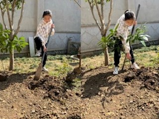 【凌霄新闻台】植绿护绿宝小娃 花红柳绿苏城美——2022年凌霄学子植树节系列主题活动