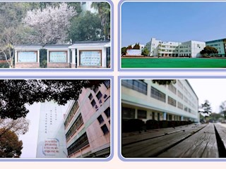 【凌霄新闻台】一花一木皆有情，一步一景盼生归