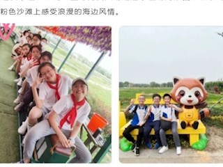 【凌霄新闻台】研学实践促成长 奋楫扬帆向未来