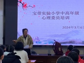 【凌霄新闻台】以心润心  相伴成长——2023-2024学年第二学期心理委员培训活动