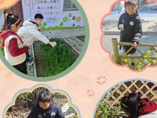 【凌霄新闻台】春风十里，护绿有你